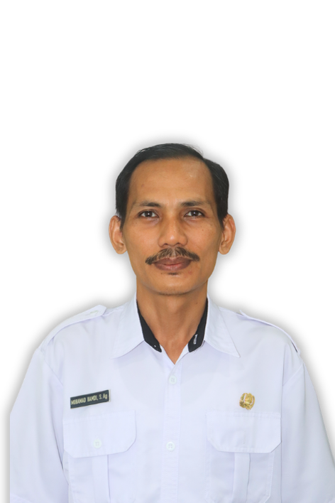 MOHAMAD HAMDI, S.Ag