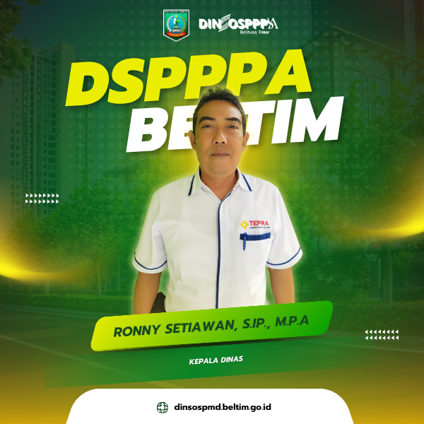 RONNY SETIAWAN, S.IP., M.P.A